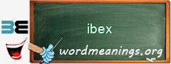 WordMeaning blackboard for ibex